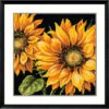 Dimensions Dramatic Sunflowers Needlepoint Kit