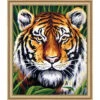 Collection D'Art The Tiger Needlepoint Kit