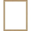 Herrschners Gold Frame-8 X 10"(20.5 X 25.5cm) Sectional Frame