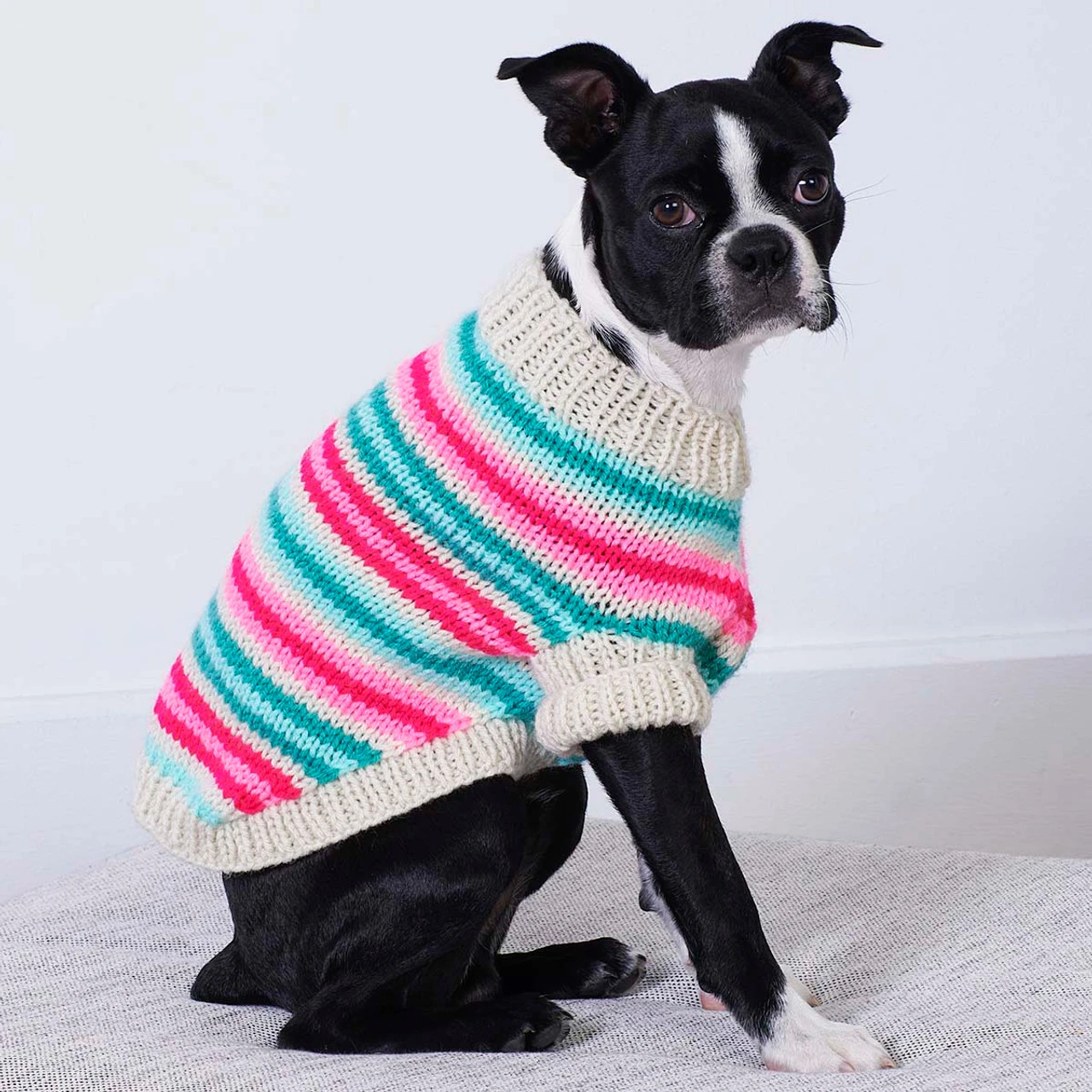 Red Heart Jazzy Stripes Dog Coat Knit Kit 1 Red Heart Jazzy Stripes Dog Coat Knit Kit