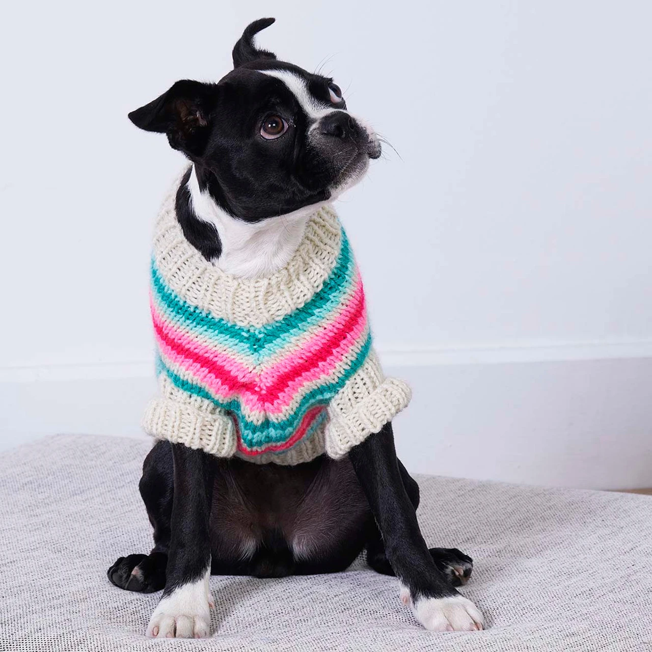 Red Heart Jazzy Stripes Dog Coat Knit Kit 2 Red Heart Jazzy Stripes Dog Coat Knit Kit - Image 2