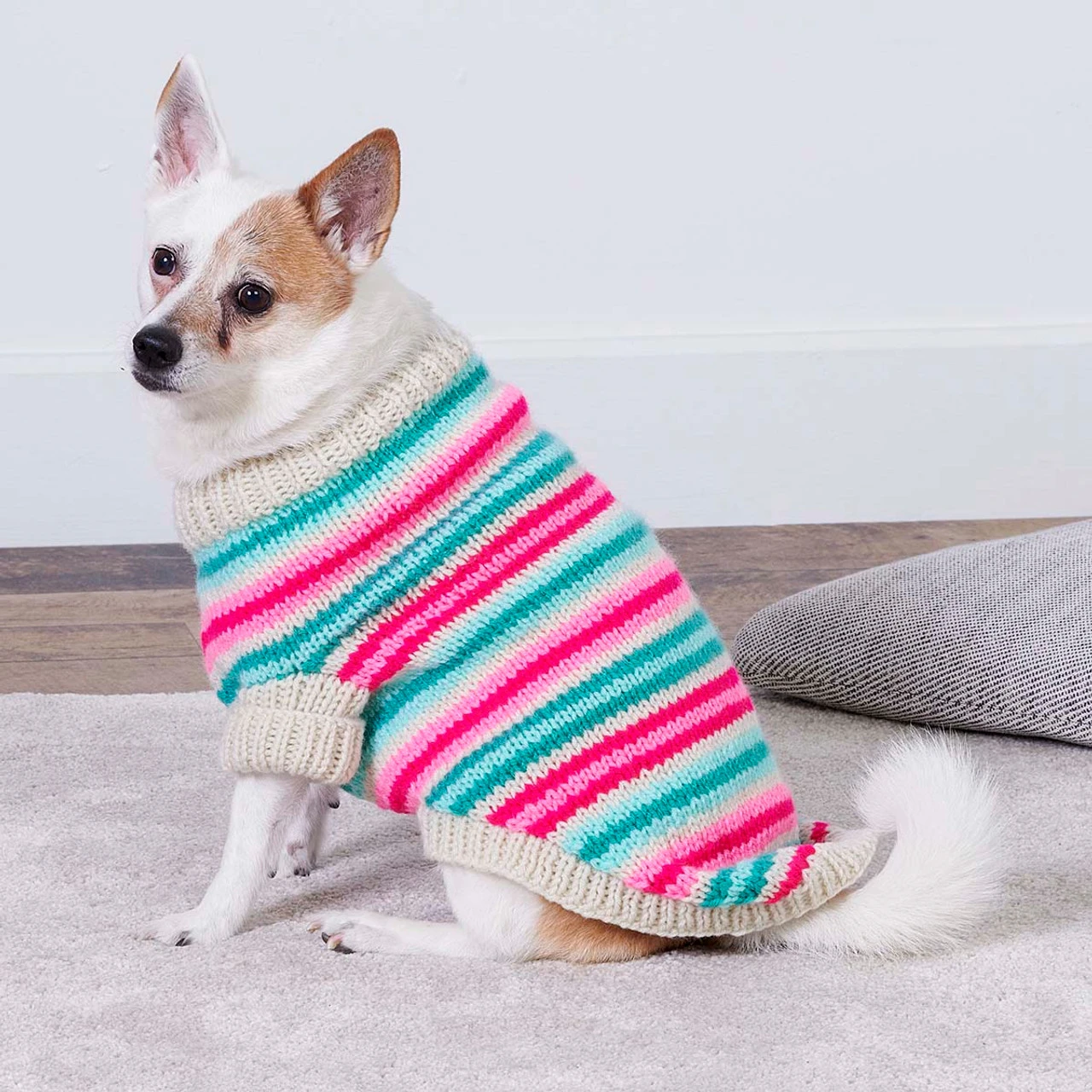 Red Heart Jazzy Stripes Dog Coat Knit Kit 3 Red Heart Jazzy Stripes Dog Coat Knit Kit - Image 3