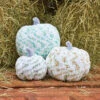 Premier® Premier Floral Pumpkins Knit Kit