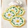 Village Yarn Delightful Daisy Scrubbies Crochet Yarn Kit